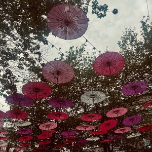 Meet your Posher, Lucy